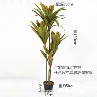 XU0612921